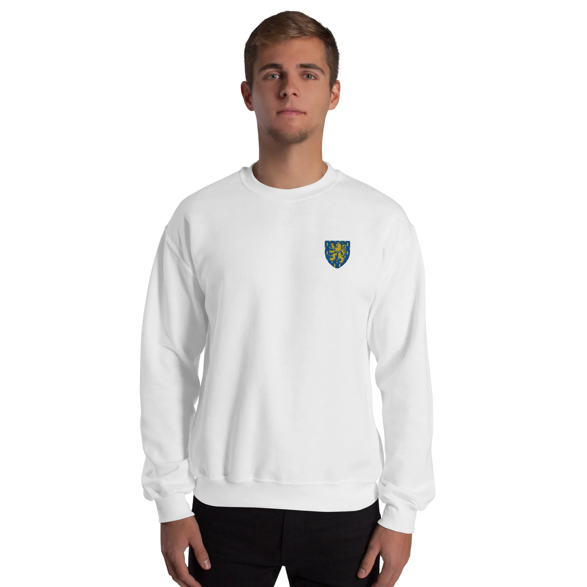Pull - Franche-Comté - Image 12