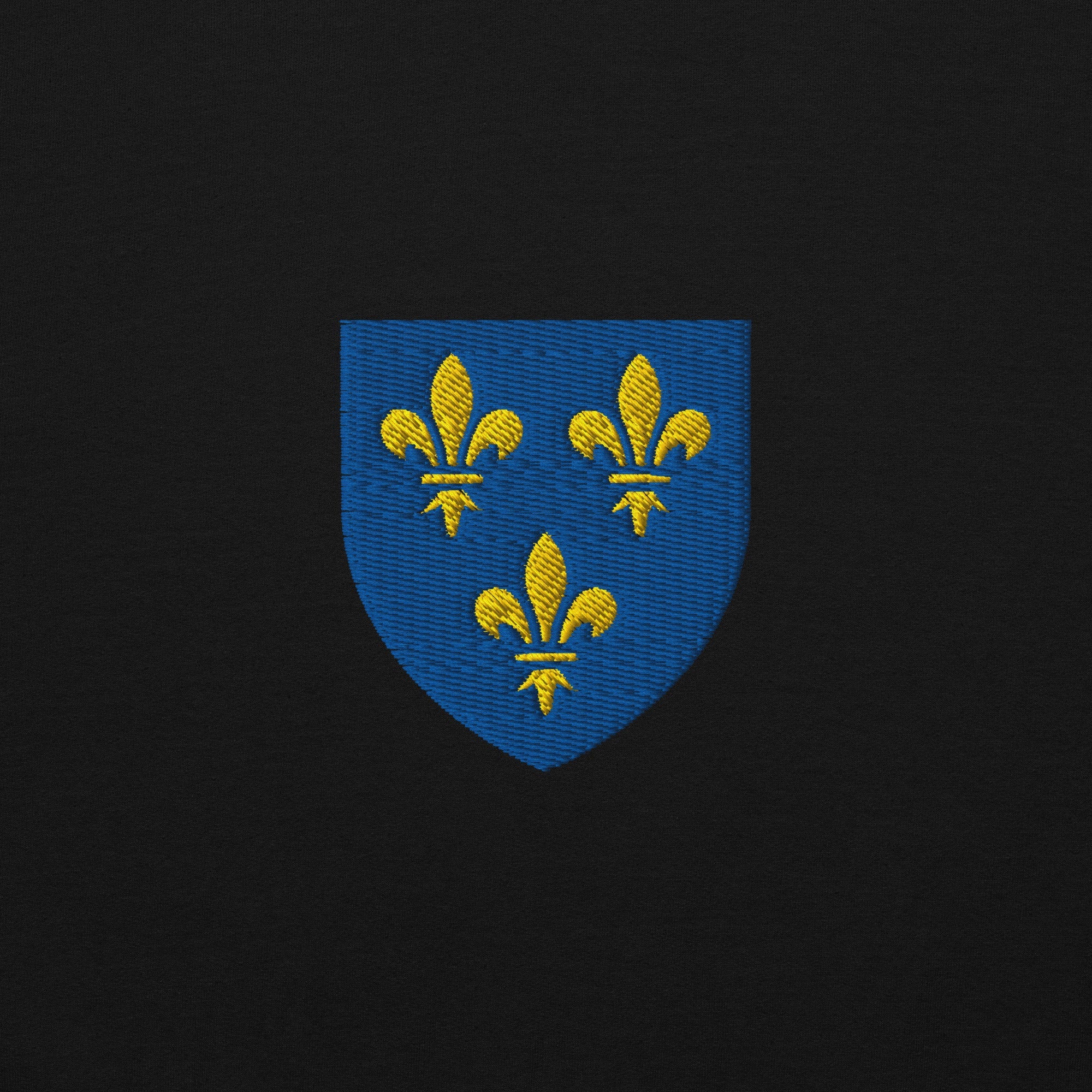 Pull - Île-de-France - Image 4