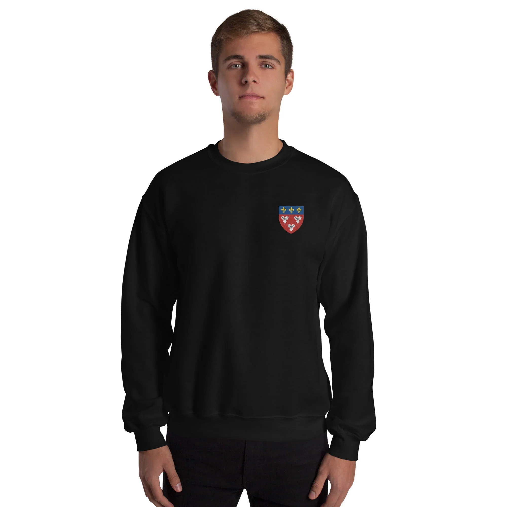 Pull - Orléans - Image 12